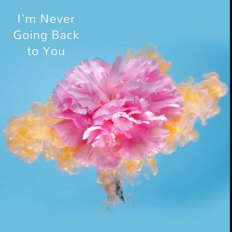 I'm Never Going Back to You | Boomplay Music