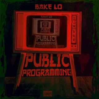 Public Programming lyrics | Boomplay Music