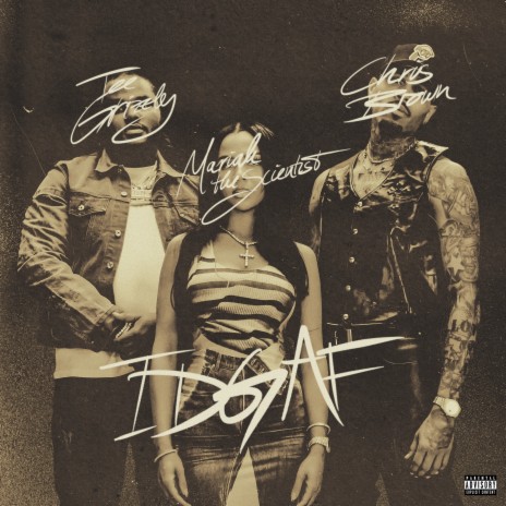 IDGAF (feat. Chris Brown and Mariah the Scientist) | Boomplay Music