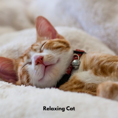 Pawful Tranquil Sounds ft. Cat Relaxing Sounds TA & Calming Cat Music | Boomplay Music