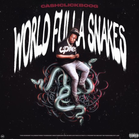 World Fulla Snakes | Boomplay Music