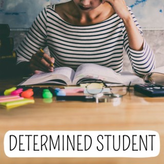 Determined Student: Collection of Songs for Deep Concentration and Fast Learning