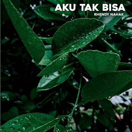 AKU TAK BISA | Boomplay Music