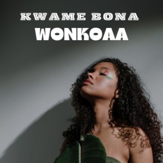 Wonkoaa lyrics | Boomplay Music