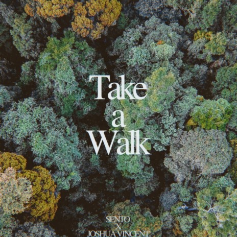 Take a Walk ft. Joshua Vincent | Boomplay Music
