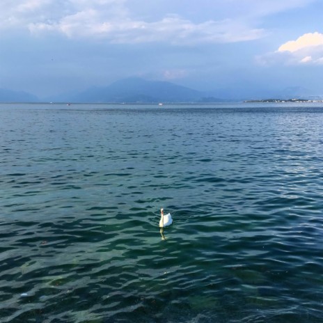 Sitting by the Lake