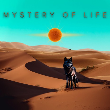 Mystery Of Life | Boomplay Music