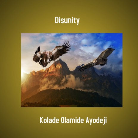 Disunity | Boomplay Music