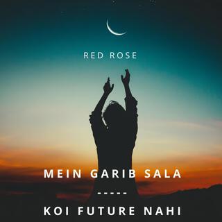 Mein Garib Sala-Koi Future Nahi