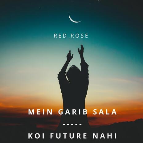 Mein Garib Sala-Koi Future Nahi | Boomplay Music