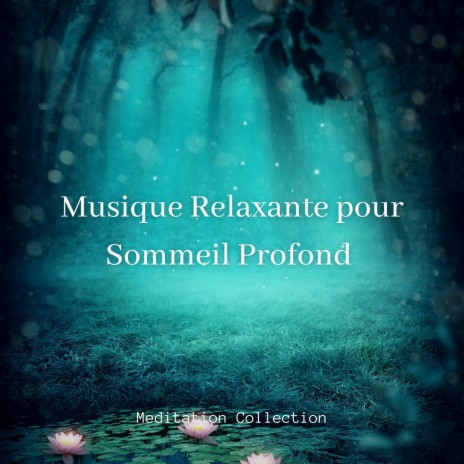 Musique de détente ft. Zen & Ensemble de Musique Zen Relaxante | Boomplay Music