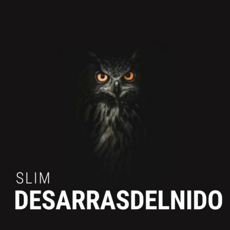 Desarrasdelnido | Boomplay Music