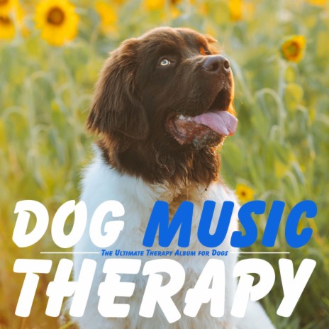 Higher Power ft. Dog Music Dreams | Boomplay Music