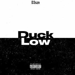 Duck low