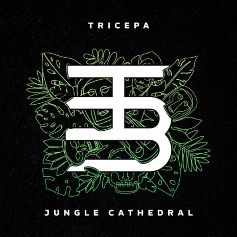 Jungle Cathedral | Boomplay Music