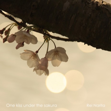 One kiss under the sakura | Boomplay Music