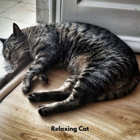 Purring Serenades ft. Cat Relaxing Sounds TA & Calming Cat Music | Boomplay Music