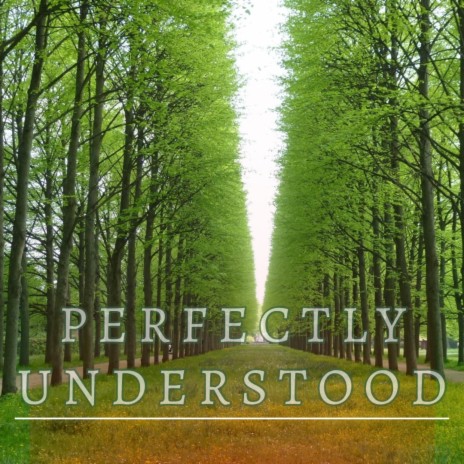 Perfectly Understood (Bathroom iPhone Recording) | Boomplay Music