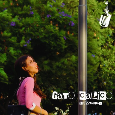 Gato Calico ft. Soku | Boomplay Music