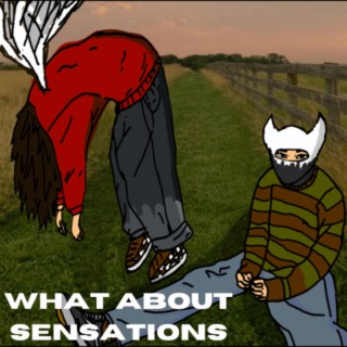 What About Sensations