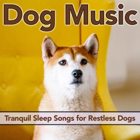 Lullaby for Puppy ft. Dog Music Therapy & Relaxmydog | Boomplay Music