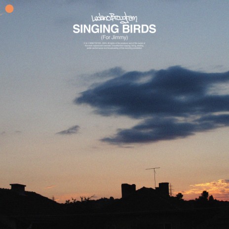 singing birds (for jimmy) | Boomplay Music