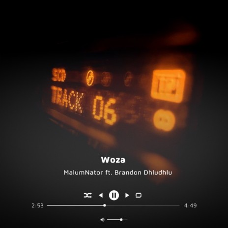 Woza ft. Brandon Dhludhlu | Boomplay Music