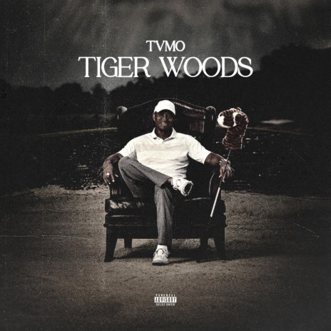 Tiger Woods | Boomplay Music