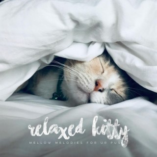 relaxed kitty (Mellow Melodies for ur Pus)