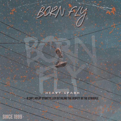 Born Fly | Boomplay Music