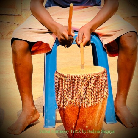 Tribal Harmony | Boomplay Music