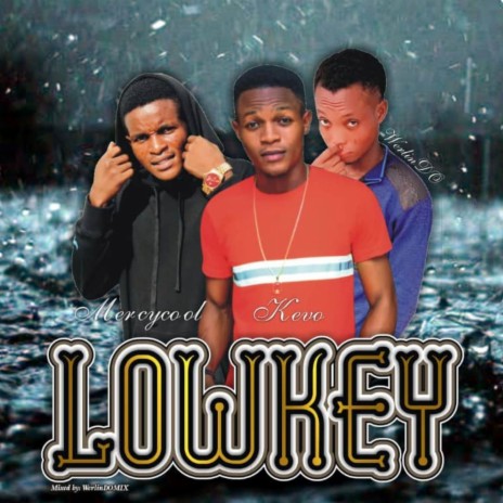 Lowkey ft. Mercycool | Boomplay Music