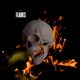 FLAMES lyrics | Boomplay Music