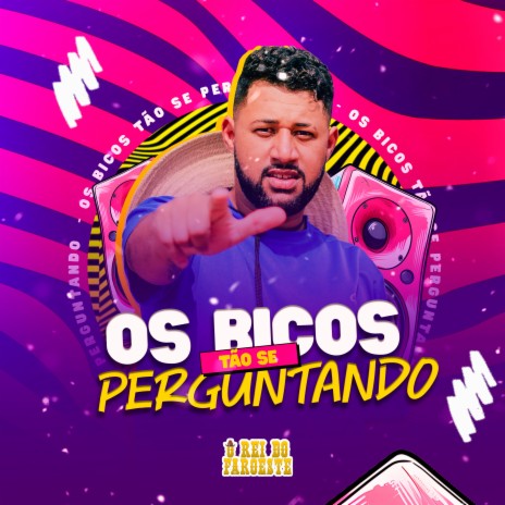 Os Bicos Tão Se Perguntando (feat. MT Records) | Boomplay Music