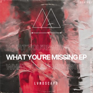 What You're Missing EP