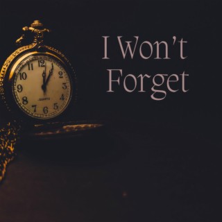 I Won't Forget