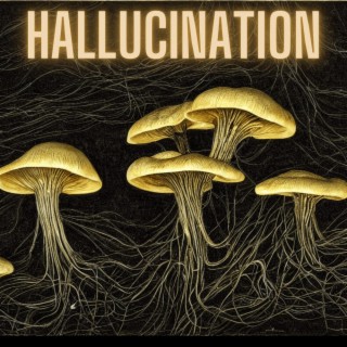 Hallucination