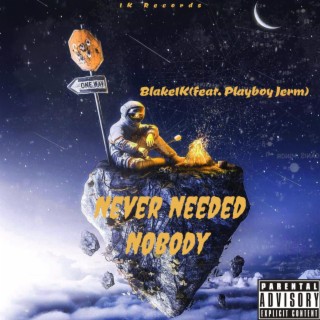 Never Needed Nobody