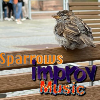 Sparrows