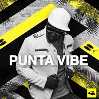 Punta Vibe