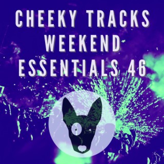 Cheeky Tracks Weekend Essentials 46