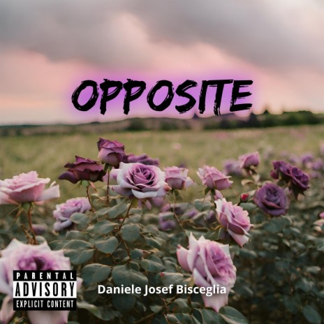 OPPOSITE | Boomplay Music