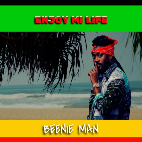 Enjoy Mi Life | Boomplay Music