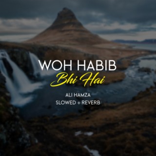 Woh Habib Bhi Hai Lofi