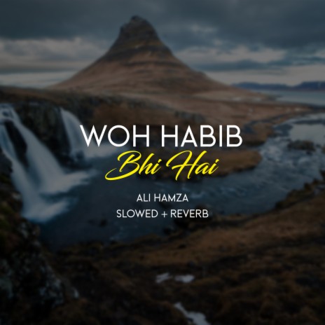 Woh Habib Bhi Hai Lofi | Boomplay Music