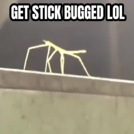 Get Stick Bugged LOL | Boomplay Music