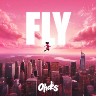 Fly