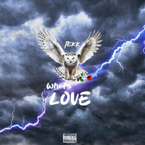 WHAT'S LOVE | Boomplay Music