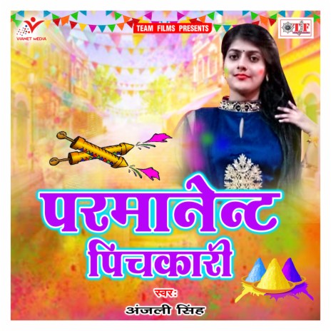 Pichakari Ho Jai Parmanent Ho | Boomplay Music