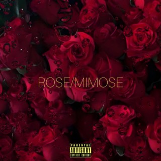 Rose/Mimose